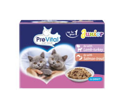 PreVital Kapsika Koka jehn-krta, losos-pstruh 12 x 100g junior v omce